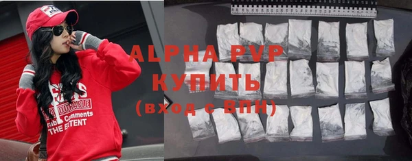 индика Осташков