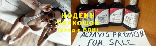 прущие грибы Абинск