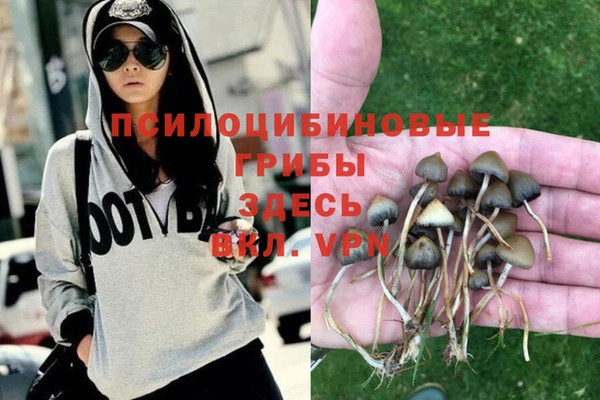 индика Осташков