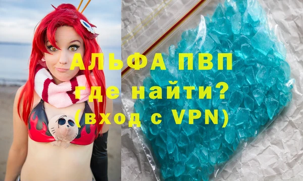 индика Осташков