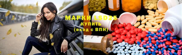 прущие грибы Абинск